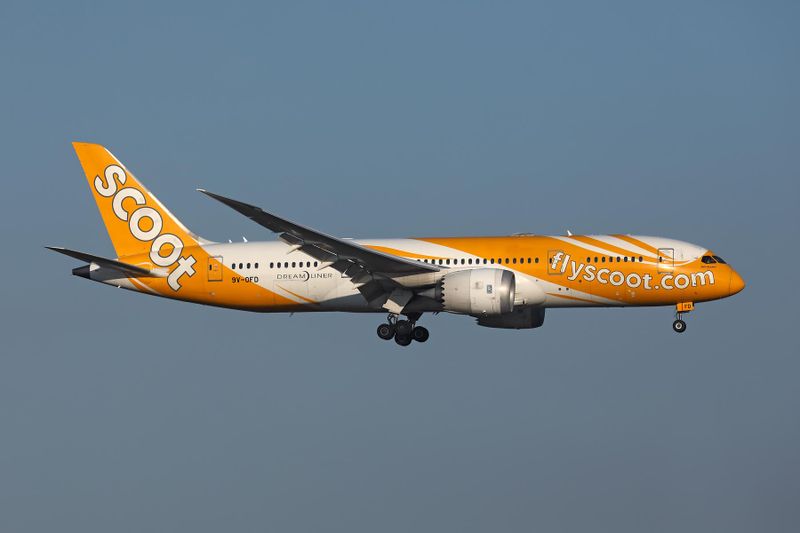 SCOOT BOEING 787 8 PER RF 002A8924.jpg