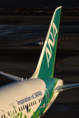 g13/05/686005/3/173194273.c3dcbb83.JPEG