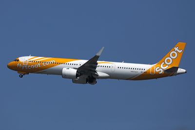 g13/05/686005/3/173860111.2a1002ec.JPEG