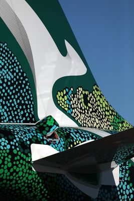 QANTAS LINK AIRBUS A220 HBA RF 002A2021.jpg