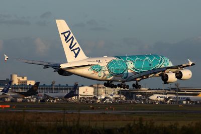 ANA AIRBUS A380 NRT RF 002A5313.jpg
