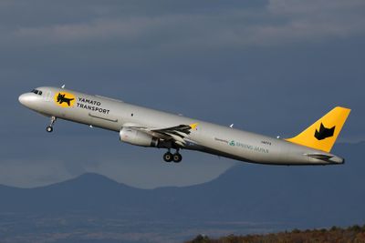 YAMATO TRANSPORT AIRBUS A321PF CTS RF 002A4566.jpg