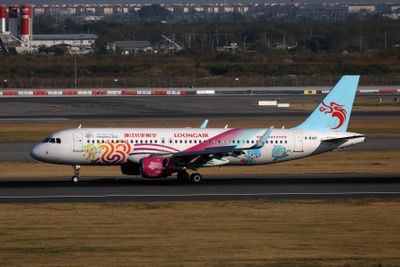 LOONGAIR AIRBUS A320 BKK RF 002A6086.jpg