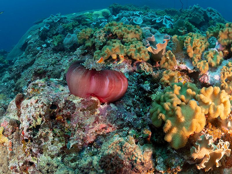 P1011132cs.jpg