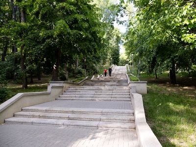 P1010254s.jpg