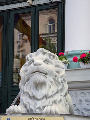 P1010200cs.jpg