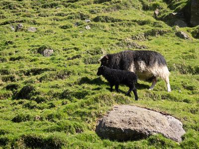 Faroe Islands May 2025