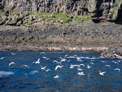 Faroe Islands May 2025