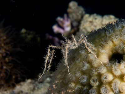 P1012997cs.jpg