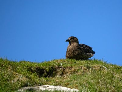 Faroe Islands May 2025
