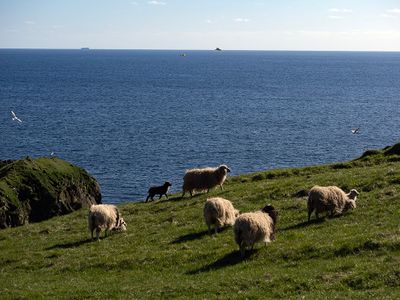 Mykines