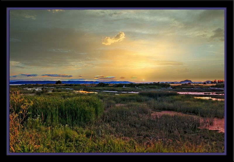 _DSC4307-2-18.jpg