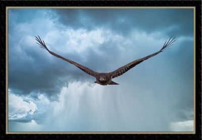 _DSC6024-2-23-sr.jpg