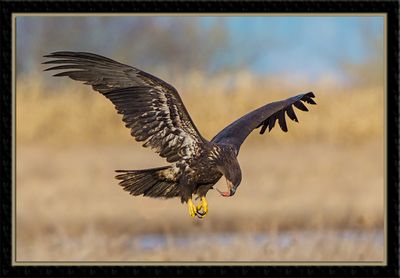 _DSC6060-En-2-23.jpg