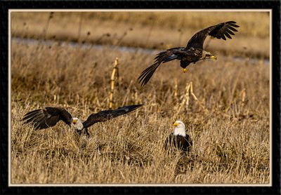 _DSC6087-En-2-23.jpg
