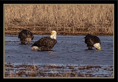 _DSC6301-En-2-23.jpg
