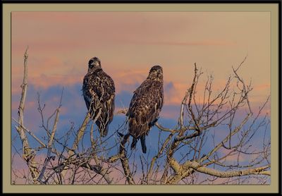 _DSC6519-En-2-23sr.jpg