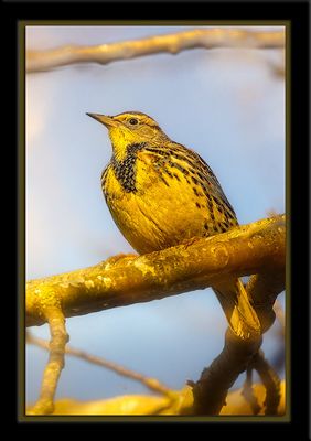 _DSC6502-En-2-23sr.jpg