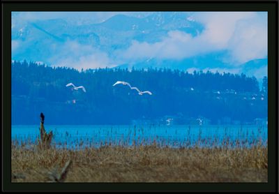 _DSC9854-2-23.jpg