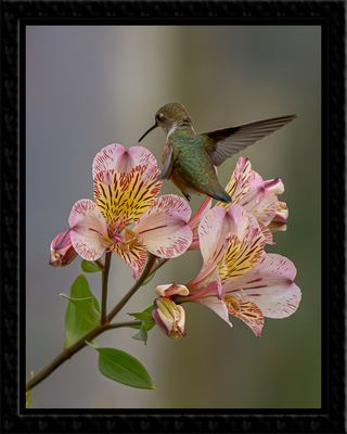 _DSC0906-En-2-23.jpg