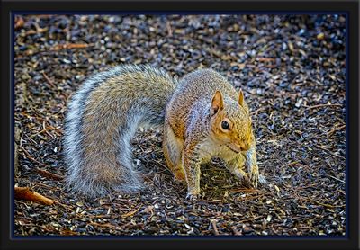 _DSC2172-2-23.jpg