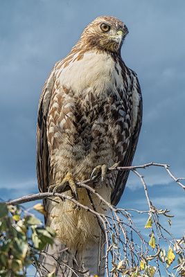_DSC2275-2-23.jpg