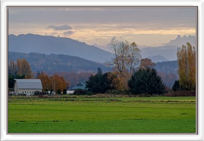 _DSC2472-2-23.jpg