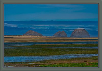 _DSC9835-2-24.jpg