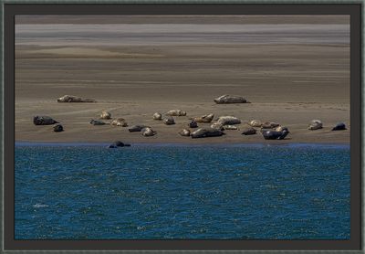 _DSC0446-2-24.jpg