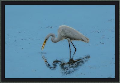 _DSC0925-2-24.jpg