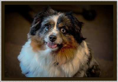 _DSC2155-2-24-2-1l.jpg