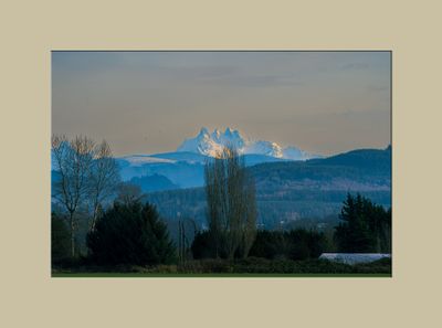 _DSC2503-2-24.jpg
