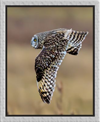 _DSC2707-2-24-sharpened.jpg