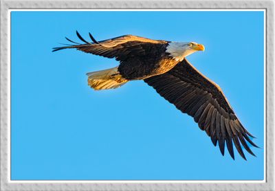 _DSC3599-2-25.jpg