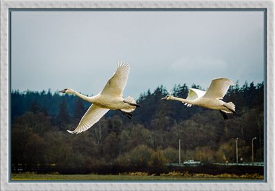 _DSC4502-2-25.jpg