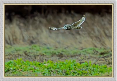 _DSC4023-2-25.jpg