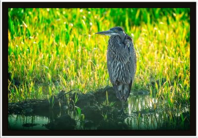 _DSC3203-2-25.jpg