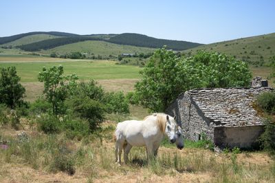 Traverse du Causse