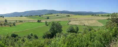 Une portion fertile du plateau.