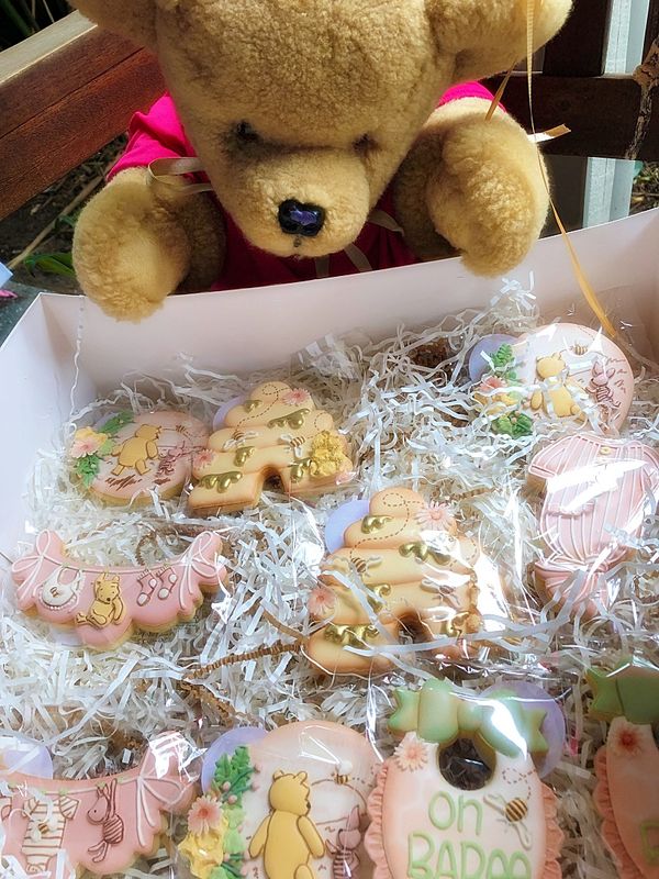 Teddy Bear's Picnic