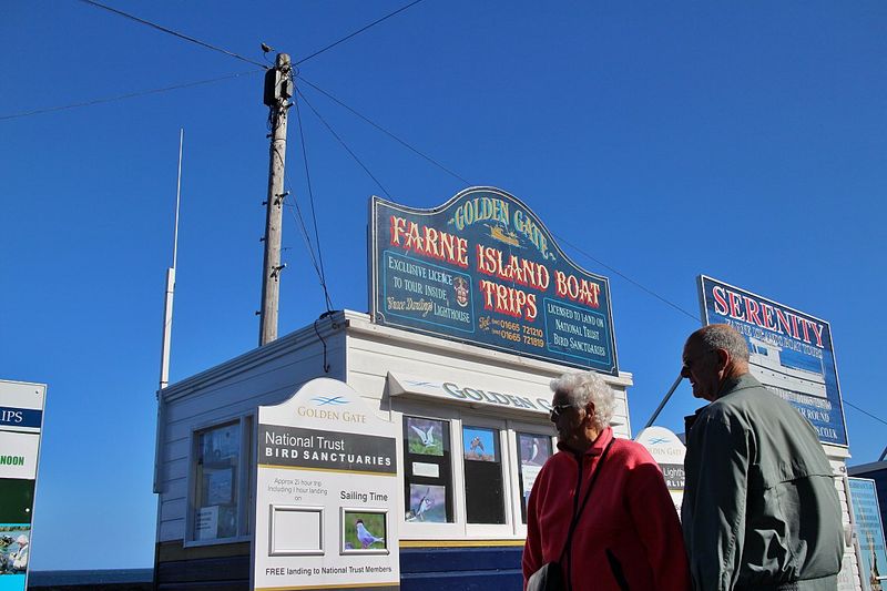 Farne Island Boat Trips