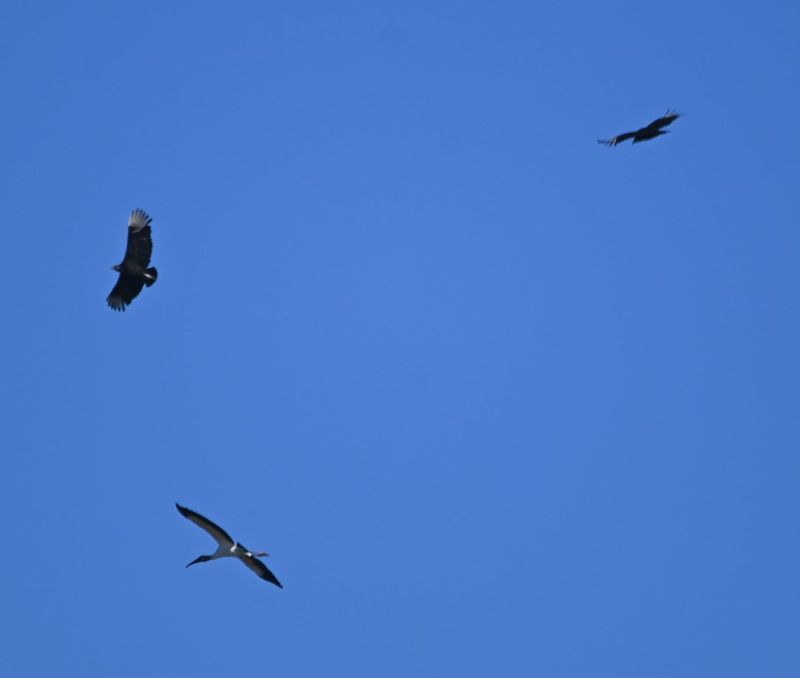 DSC_3283b.jpg