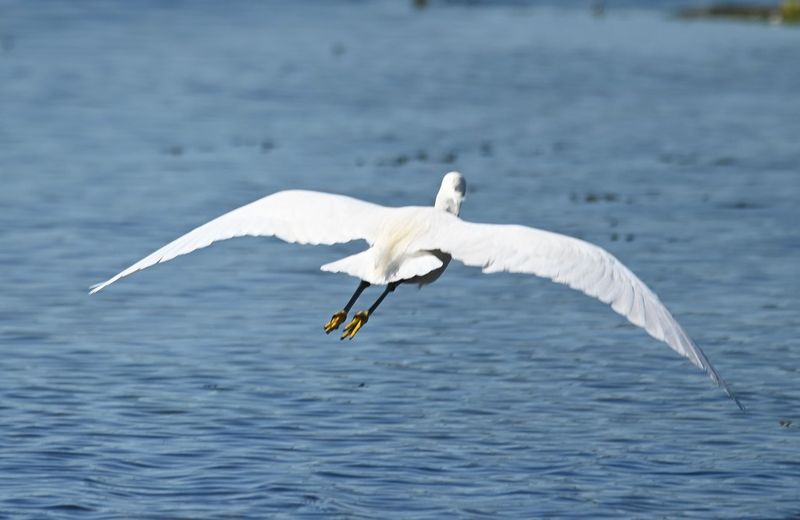 DSC_3348b.jpg