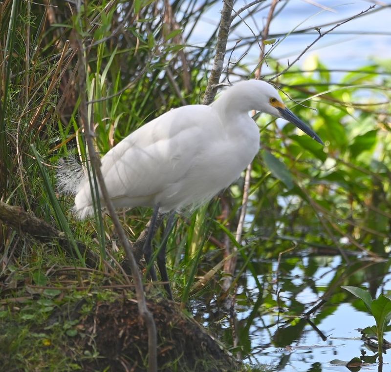 DSC_4829b.jpg