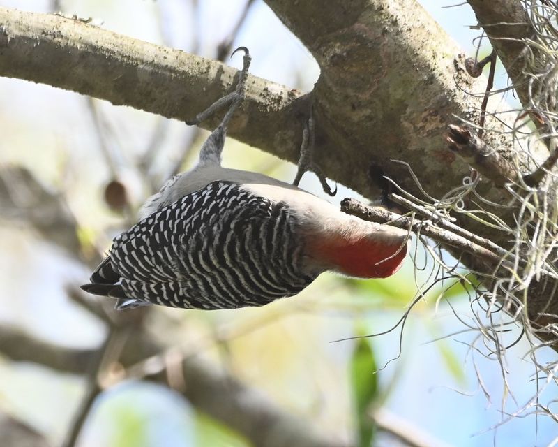 DSC_4840b.jpg
