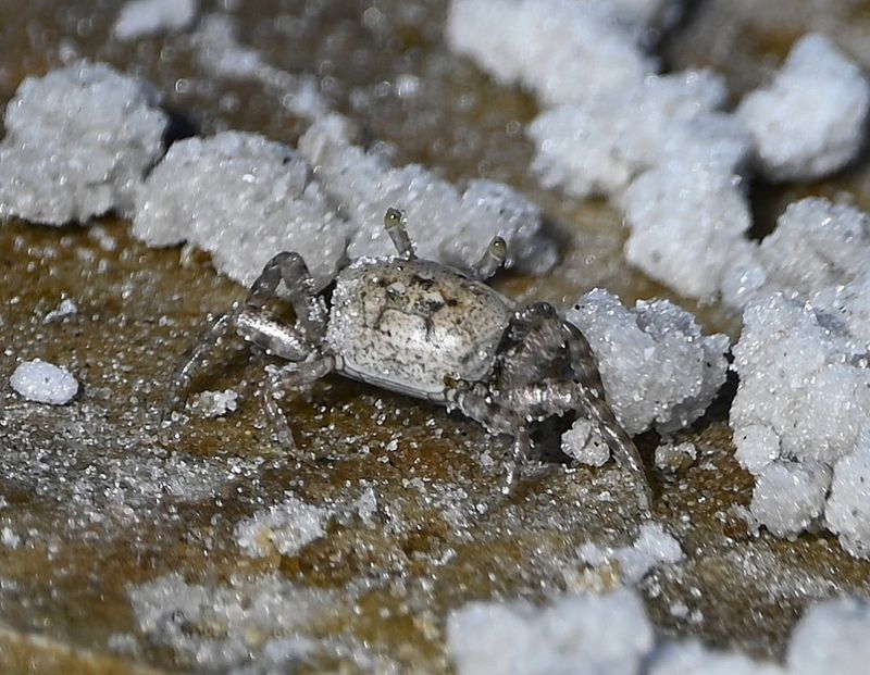 DSC_5140b.jpg