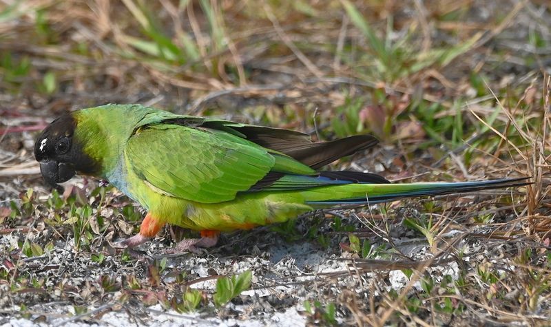 DSC_5354b.jpg