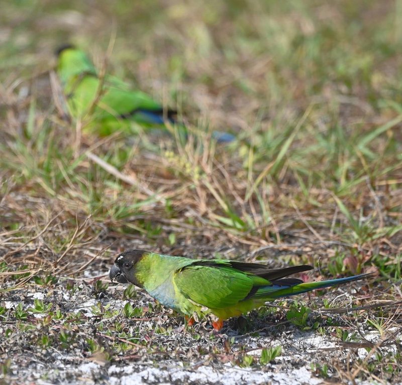 DSC_5359b.jpg