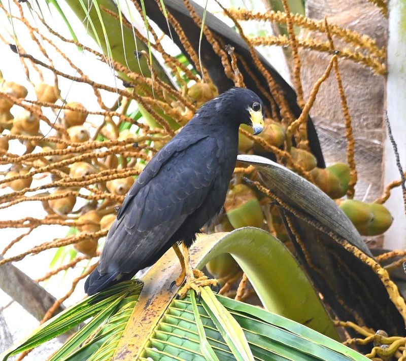 DSC_7598b.jpg