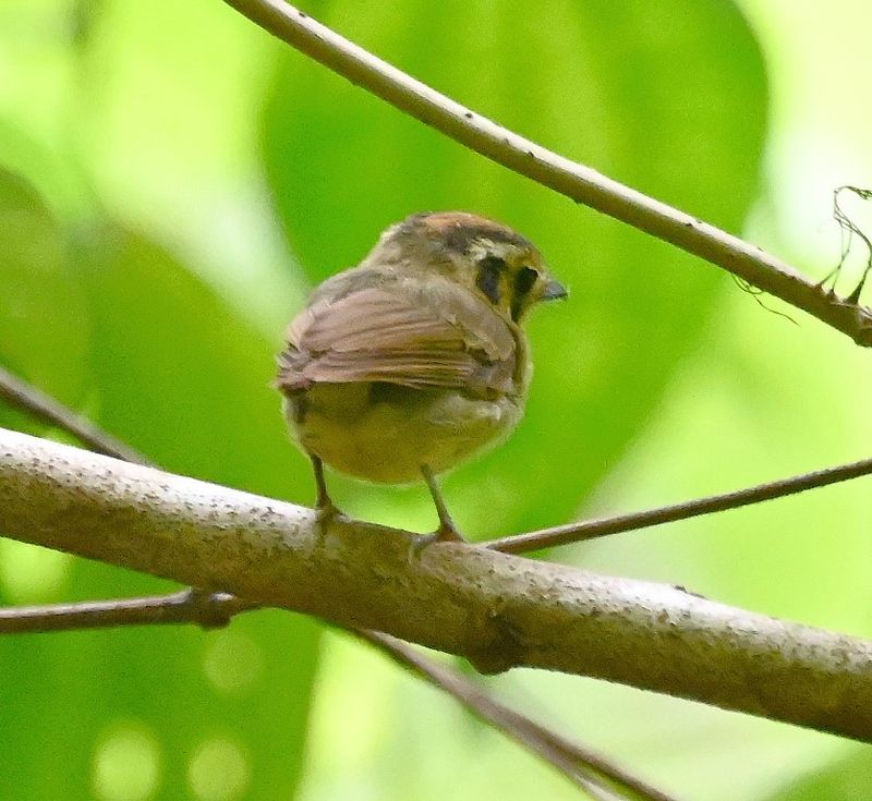 DSC_7974b.jpg